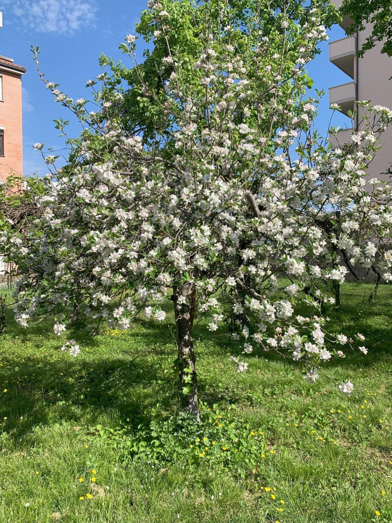Paradisa28 - Amalfi - Zona Ospedale Cisanello Пиза Экстерьер фото