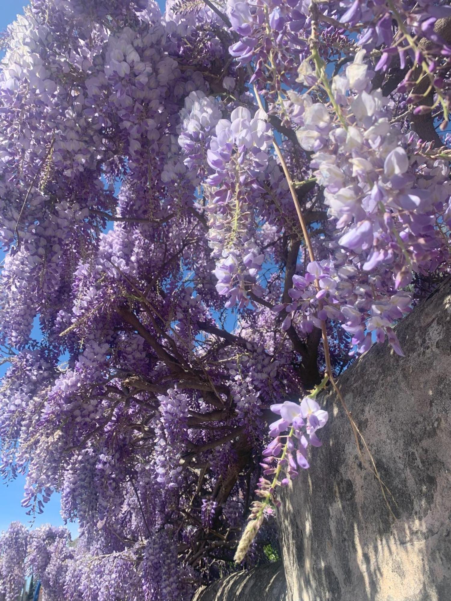 Paradisa28 - Amalfi - Zona Ospedale Cisanello Пиза Экстерьер фото
